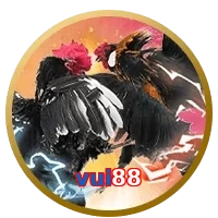 vui88