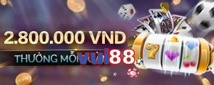 vui88