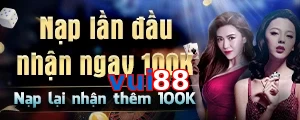 vui88